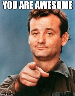 Bill Murray You're Awesome | YOU ARE AWESOME | image tagged in bill murray you're awesome | made w/ Imgflip meme maker