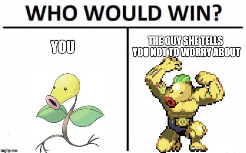 Who Would Win? | YOU; THE GUY SHE TELLS YOU NOT TO WORRY ABOUT | image tagged in memes,who would win | made w/ Imgflip meme maker