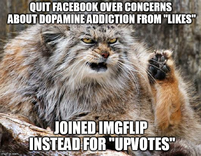 sour puss | QUIT FACEBOOK OVER CONCERNS ABOUT DOPAMINE ADDICTION FROM "LIKES"; JOINED IMGFLIP INSTEAD FOR "UPVOTES" | image tagged in sour puss | made w/ Imgflip meme maker