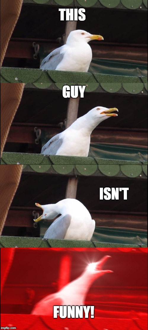 Inhaling Seagull | THIS; GUY; ISN'T; FUNNY! | image tagged in memes,inhaling seagull | made w/ Imgflip meme maker
