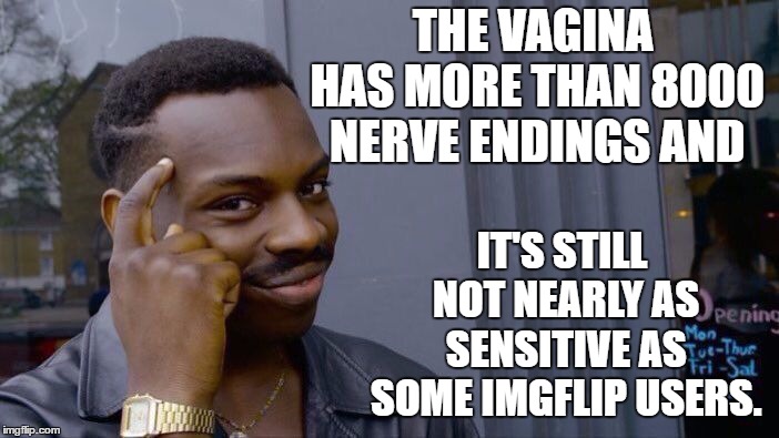 Roll Safe Think About It Meme | THE VAGINA HAS MORE THAN 8000 NERVE ENDINGS AND; IT'S STILL NOT NEARLY AS SENSITIVE AS SOME IMGFLIP USERS. | image tagged in memes,roll safe think about it,imgflip users,random | made w/ Imgflip meme maker