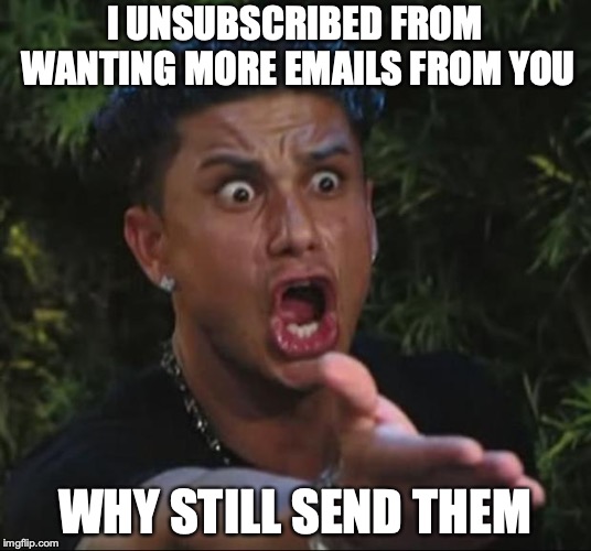 DJ Pauly D Meme | I UNSUBSCRIBED FROM WANTING MORE EMAILS FROM YOU; WHY STILL SEND THEM | image tagged in memes,dj pauly d | made w/ Imgflip meme maker