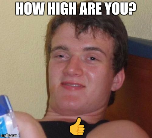 10 Guy | HOW HIGH ARE YOU? 👍 | image tagged in memes,10 guy | made w/ Imgflip meme maker