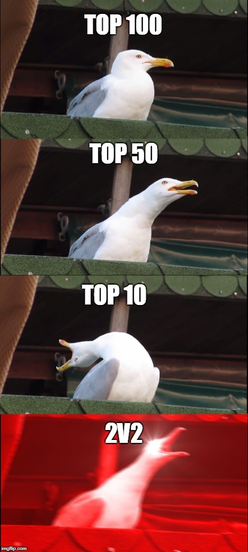 Inhaling Seagull | TOP 100; TOP 50; TOP 10; 2V2 | image tagged in memes,inhaling seagull | made w/ Imgflip meme maker