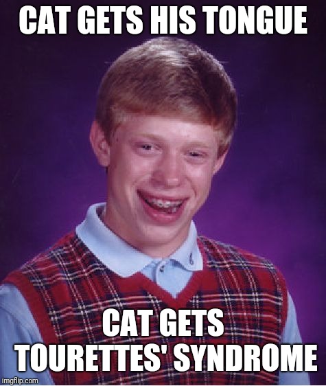 Bad Luck Brian Meme | CAT GETS HIS TONGUE; CAT GETS TOURETTES' SYNDROME | image tagged in memes,bad luck brian | made w/ Imgflip meme maker