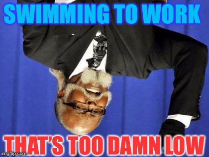 Too Damn Low | SWIMMING TO WORK THAT’S TOO DAMN LOW | image tagged in too damn low | made w/ Imgflip meme maker