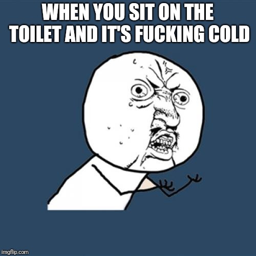 Y U No Meme | WHEN YOU SIT ON THE TOILET AND IT'S FUCKING COLD | image tagged in memes,y u no | made w/ Imgflip meme maker