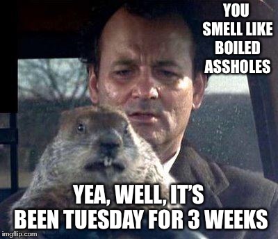 Groundhog Day | YOU SMELL LIKE BOILED ASSHOLES; YEA, WELL, IT’S BEEN TUESDAY FOR 3 WEEKS | image tagged in groundhog day | made w/ Imgflip meme maker