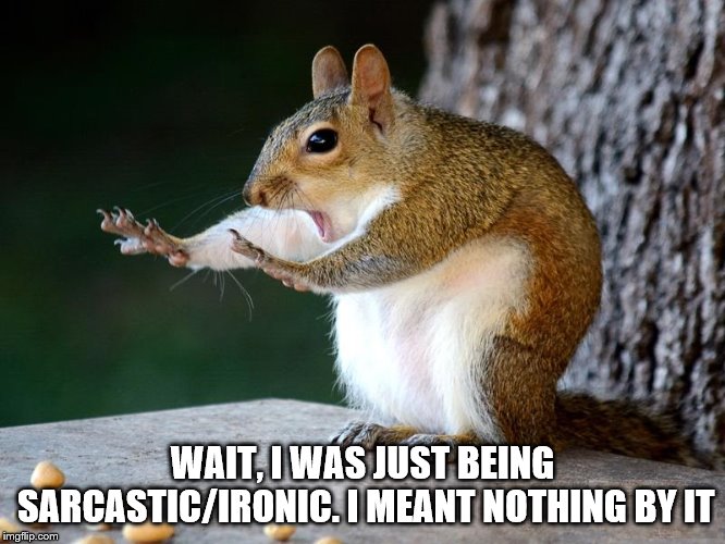 Hold Up | WAIT, I WAS JUST BEING SARCASTIC/IRONIC. I MEANT NOTHING BY IT | image tagged in hold up | made w/ Imgflip meme maker