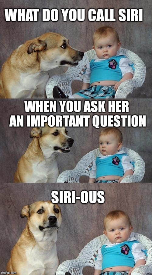Dad Joke Dog | WHAT DO YOU CALL SIRI; WHEN YOU ASK HER AN IMPORTANT QUESTION; SIRI-OUS | image tagged in memes,dad joke dog | made w/ Imgflip meme maker