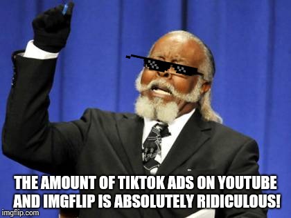 Damn it TikTok! | THE AMOUNT OF TIKTOK ADS ON YOUTUBE AND IMGFLIP IS ABSOLUTELY RIDICULOUS! | image tagged in memes,too damn high,tik tok,imgflip,youtube,ads | made w/ Imgflip meme maker