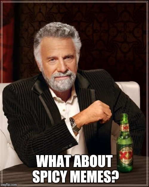 The Most Interesting Man In The World Meme | WHAT ABOUT SPICY MEMES? | image tagged in memes,the most interesting man in the world | made w/ Imgflip meme maker