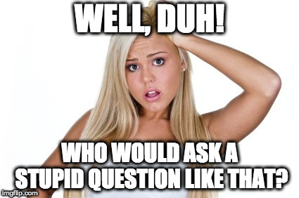 Dumb Blonde | WELL, DUH! WHO WOULD ASK A STUPID QUESTION LIKE THAT? | image tagged in dumb blonde | made w/ Imgflip meme maker