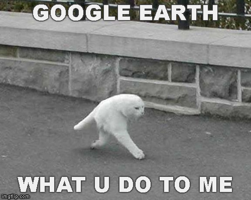 Google Street View | GOOGLE EARTH; WHAT U DO TO ME | image tagged in memes,funny,google,google street view cat | made w/ Imgflip meme maker