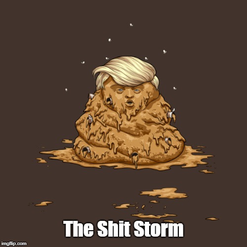 The Shit Storm | made w/ Imgflip meme maker