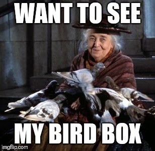 WANT TO SEE; MY BIRD BOX | image tagged in bird lady | made w/ Imgflip meme maker