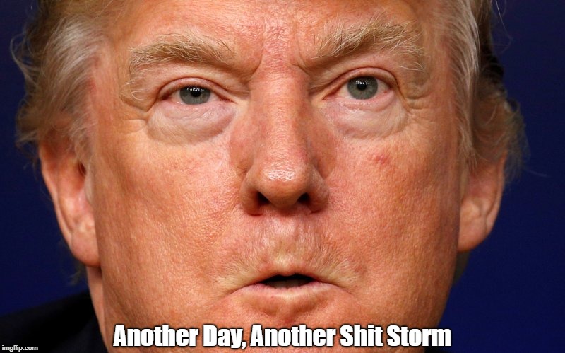 Another Day, Another Shit Storm | made w/ Imgflip meme maker