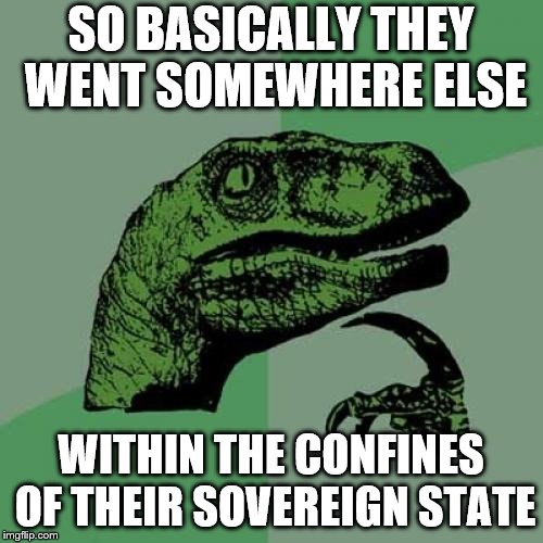 Philosoraptor Meme | SO BASICALLY THEY WENT SOMEWHERE ELSE WITHIN THE CONFINES OF THEIR SOVEREIGN STATE | image tagged in memes,philosoraptor | made w/ Imgflip meme maker