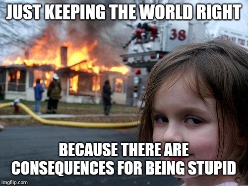 Disaster Girl Meme | JUST KEEPING THE WORLD RIGHT; BECAUSE THERE ARE CONSEQUENCES FOR BEING STUPID | image tagged in memes,disaster girl | made w/ Imgflip meme maker