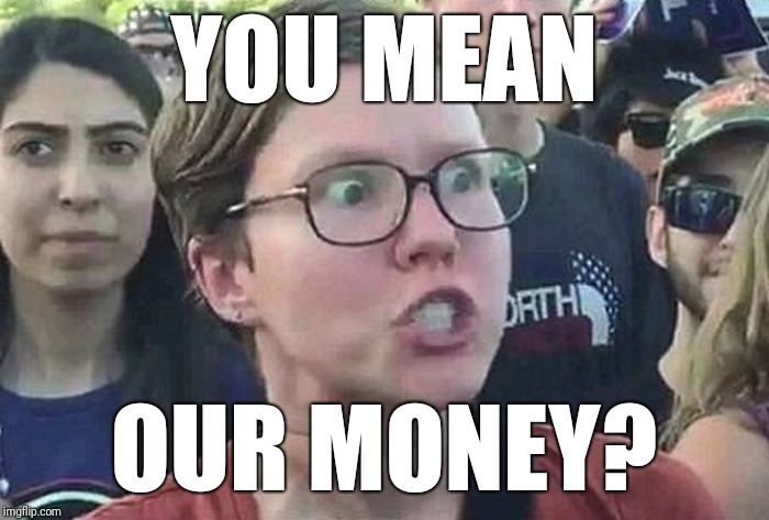 Triggered Liberal | YOU MEAN OUR MONEY? | image tagged in triggered liberal | made w/ Imgflip meme maker