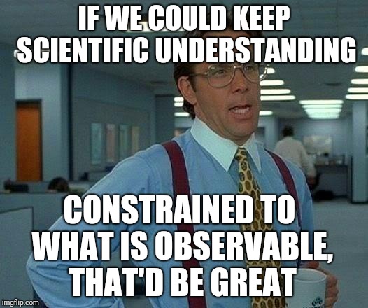 That Would Be Great Meme | IF WE COULD KEEP SCIENTIFIC UNDERSTANDING CONSTRAINED TO WHAT IS OBSERVABLE, THAT'D BE GREAT | image tagged in memes,that would be great | made w/ Imgflip meme maker