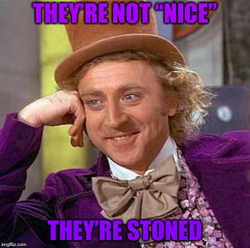 Creepy Condescending Wonka Meme | THEY’RE NOT “NICE” THEY’RE STONED | image tagged in memes,creepy condescending wonka | made w/ Imgflip meme maker