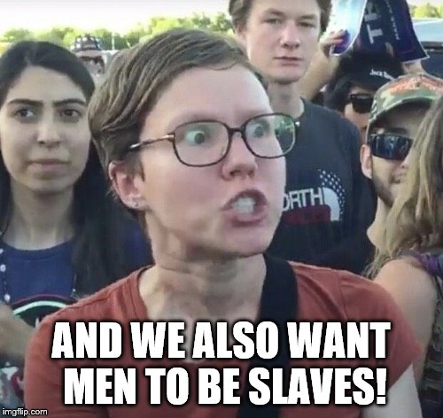 Triggered feminist | AND WE ALSO WANT MEN TO BE SLAVES! | image tagged in triggered feminist | made w/ Imgflip meme maker