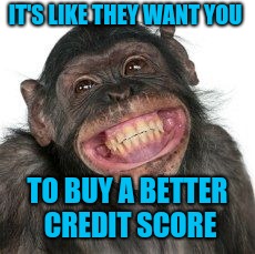 IT'S LIKE THEY WANT YOU TO BUY A BETTER CREDIT SCORE | image tagged in grinning chimp | made w/ Imgflip meme maker