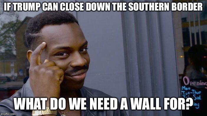 Roll Safe Think About It Meme | IF TRUMP CAN CLOSE DOWN THE SOUTHERN BORDER WHAT DO WE NEED A WALL FOR? | image tagged in memes,roll safe think about it | made w/ Imgflip meme maker
