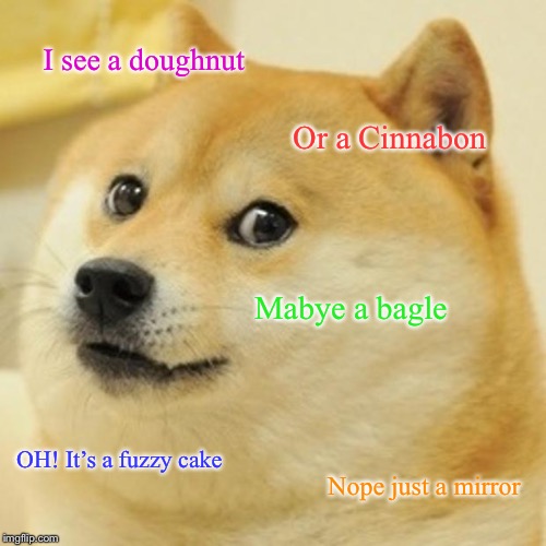 Food problems | I see a doughnut; Or a Cinnabon; Mabye a bagle; OH! It’s a fuzzy cake; Nope just a mirror | image tagged in memes,doge | made w/ Imgflip meme maker