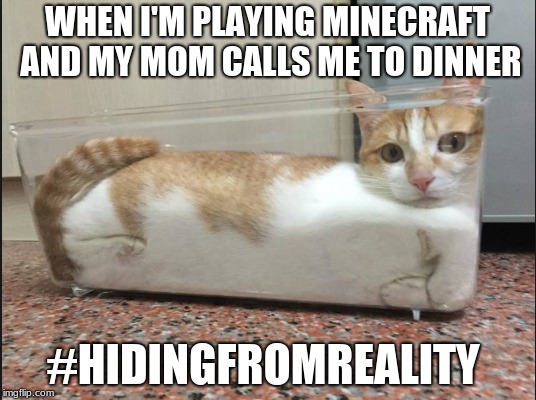 Hiding from reality | WHEN I'M PLAYING MINECRAFT AND MY MOM CALLS ME TO DINNER; #HIDINGFROMREALITY | image tagged in hiding from reality | made w/ Imgflip meme maker