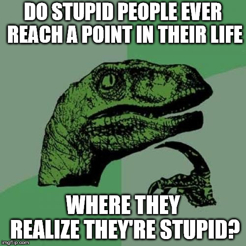 Philosoraptor | DO STUPID PEOPLE EVER REACH A POINT IN THEIR LIFE; WHERE THEY REALIZE THEY'RE STUPID? | image tagged in memes,philosoraptor | made w/ Imgflip meme maker