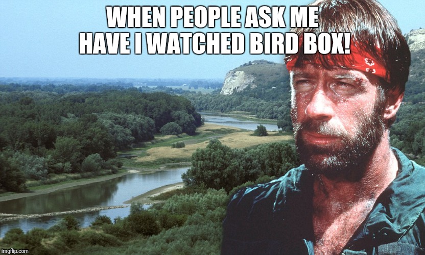 Chuck Norris Bird Box | WHEN PEOPLE ASK ME HAVE I WATCHED BIRD BOX! | image tagged in chuck norris bird box | made w/ Imgflip meme maker