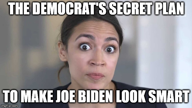 Crazy Alexandria Ocasio-Cortez | THE DEMOCRAT'S SECRET PLAN; TO MAKE JOE BIDEN LOOK SMART | image tagged in crazy alexandria ocasio-cortez | made w/ Imgflip meme maker