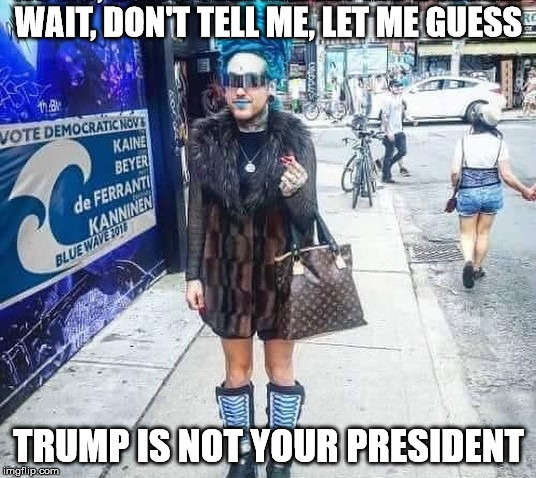 WAIT, DON'T TELL ME, LET ME GUESS; TRUMP IS NOT YOUR PRESIDENT | image tagged in blue man | made w/ Imgflip meme maker
