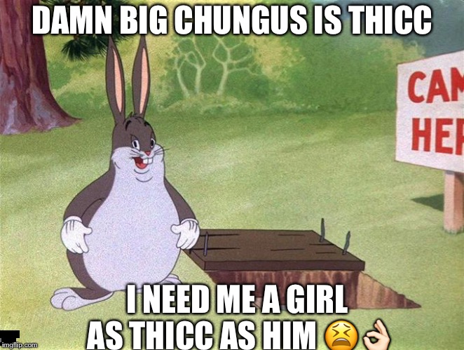 Big Chungus | DAMN BIG CHUNGUS IS THICC; I NEED ME A GIRL AS THICC AS HIM 😫👌🏻 | image tagged in big chungus | made w/ Imgflip meme maker