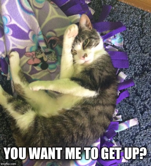 YOU WANT ME TO GET UP? | image tagged in wake up | made w/ Imgflip meme maker