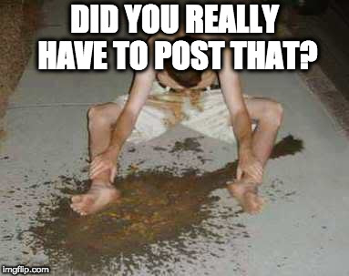 puke | DID YOU REALLY HAVE TO POST THAT? | image tagged in puke | made w/ Imgflip meme maker