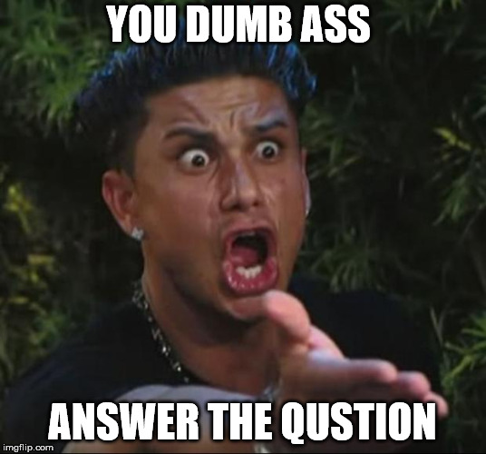 DJ Pauly D Meme | YOU DUMB ASS; ANSWER THE QUSTION | image tagged in memes,dj pauly d | made w/ Imgflip meme maker