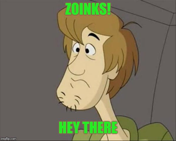 ZOINKS! HEY THERE | made w/ Imgflip meme maker