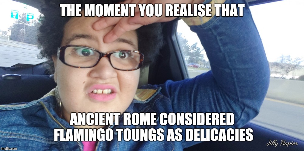 Flamingo Toungs |  THE MOMENT YOU REALISE THAT; ANCIENT ROME CONSIDERED FLAMINGO TOUNGS AS DELICACIES | image tagged in glammer girl | made w/ Imgflip meme maker