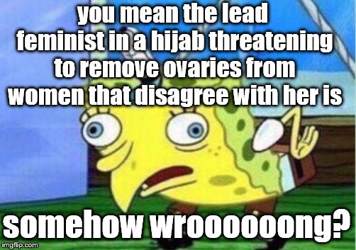 Mocking Spongebob Meme | you mean the lead feminist in a hijab threatening to remove ovaries from women that disagree with her is somehow wroooooong? | image tagged in memes,mocking spongebob | made w/ Imgflip meme maker