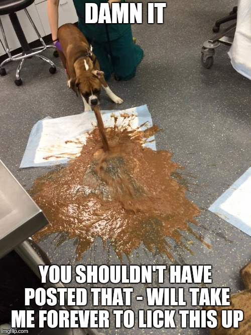 DAMN IT YOU SHOULDN'T HAVE POSTED THAT - WILL TAKE ME FOREVER TO LICK THIS UP | made w/ Imgflip meme maker