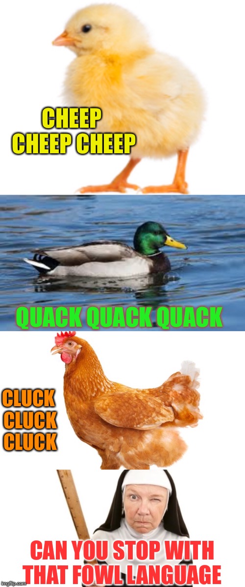 Inspired by Beckett437 ‘s tag line | CHEEP CHEEP CHEEP; QUACK QUACK QUACK; CLUCK CLUCK CLUCK; CAN YOU STOP WITH THAT FOWL LANGUAGE | image tagged in foul language,fowl language,birds,profanity,funny | made w/ Imgflip meme maker