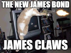 Machine Gun Cat | THE NEW JAMES BOND; JAMES CLAWS | image tagged in machine gun cat | made w/ Imgflip meme maker