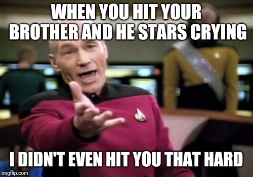 Picard Wtf Meme | WHEN YOU HIT YOUR BROTHER AND HE STARS CRYING; I DIDN'T EVEN HIT YOU THAT HARD | image tagged in memes,picard wtf | made w/ Imgflip meme maker