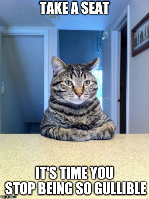Take A Seat Cat Meme | TAKE A SEAT IT'S TIME YOU STOP BEING SO GULLIBLE | image tagged in memes,take a seat cat | made w/ Imgflip meme maker