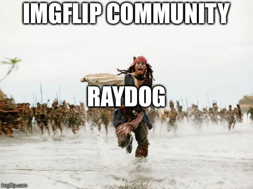Jack Sparrow Being Chased Meme | IMGFLIP COMMUNITY; RAYDOG | image tagged in memes,jack sparrow being chased | made w/ Imgflip meme maker