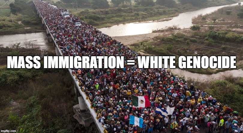 White Genocide  | MASS IMMIGRATION = WHITE GENOCIDE | image tagged in white genocide,immigration,diversity | made w/ Imgflip meme maker