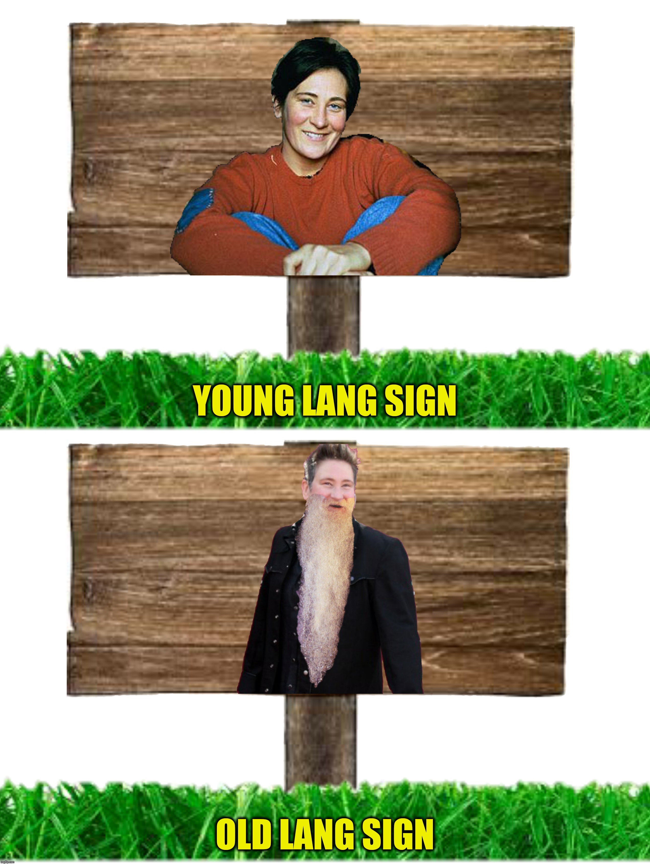 Bad Photoshop Sunday presents:  Happy New Year! | YOUNG LANG SIGN; OLD LANG SIGN | image tagged in bad photoshop sunday,auld lang syne,kd lang | made w/ Imgflip meme maker